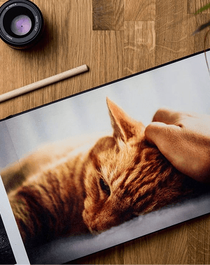 ใช้ภาพถ่ายจริง (Photo Book) เพื่อเล่าเรื่องด้วยมุมมองของคุณเอง