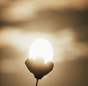 เป็นพื้นที่แห่งความหวัง